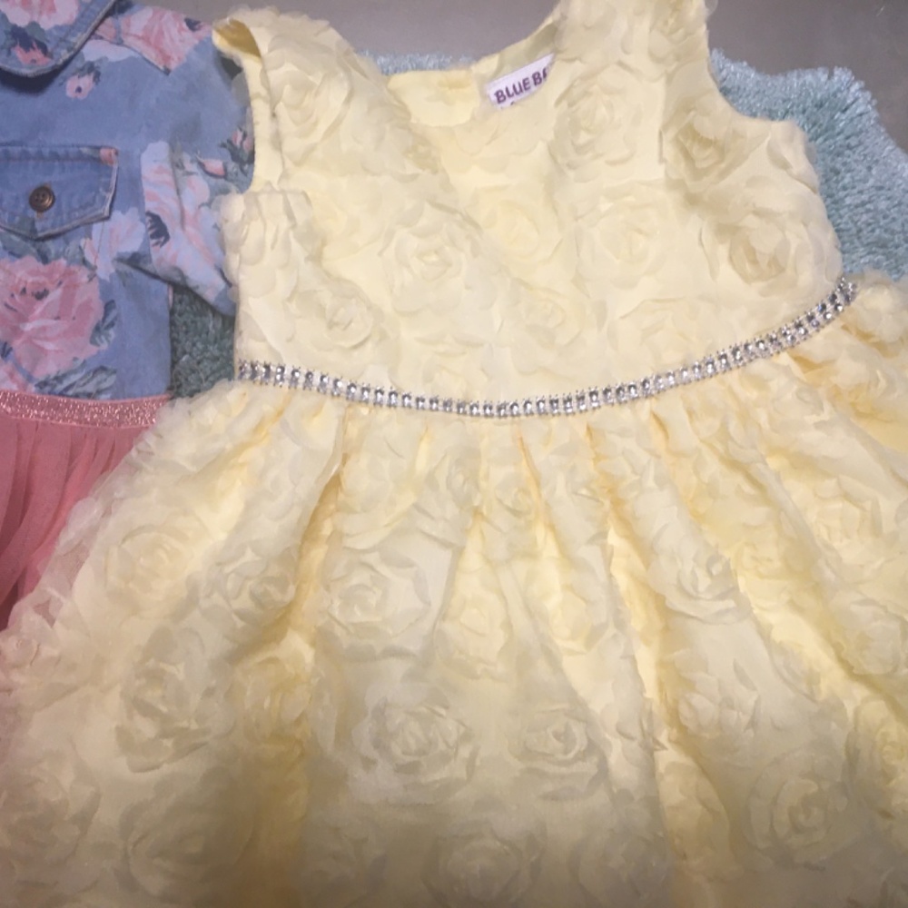 Girls Dresses - Picture 7 of 11